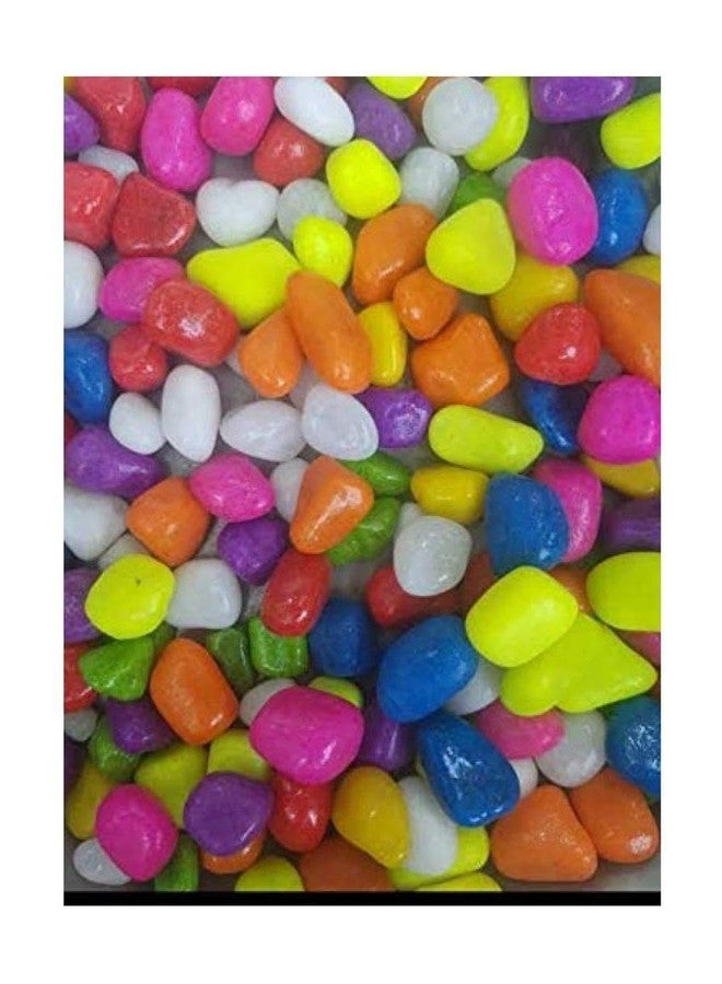 Somil Multicolor Pebbles/Stones for Garden, Plants, Lawns, Aquariums, Fish Pots, Home Decor, Vases, Furniture Filler. Size: 10-30mm, Shiny Multicolor -A231 - Image 1